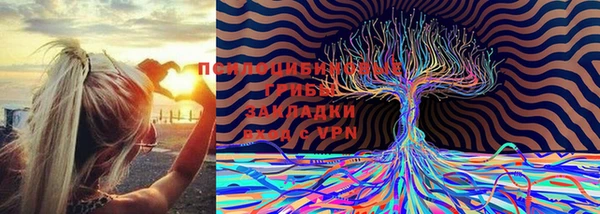 герыч Алексеевка